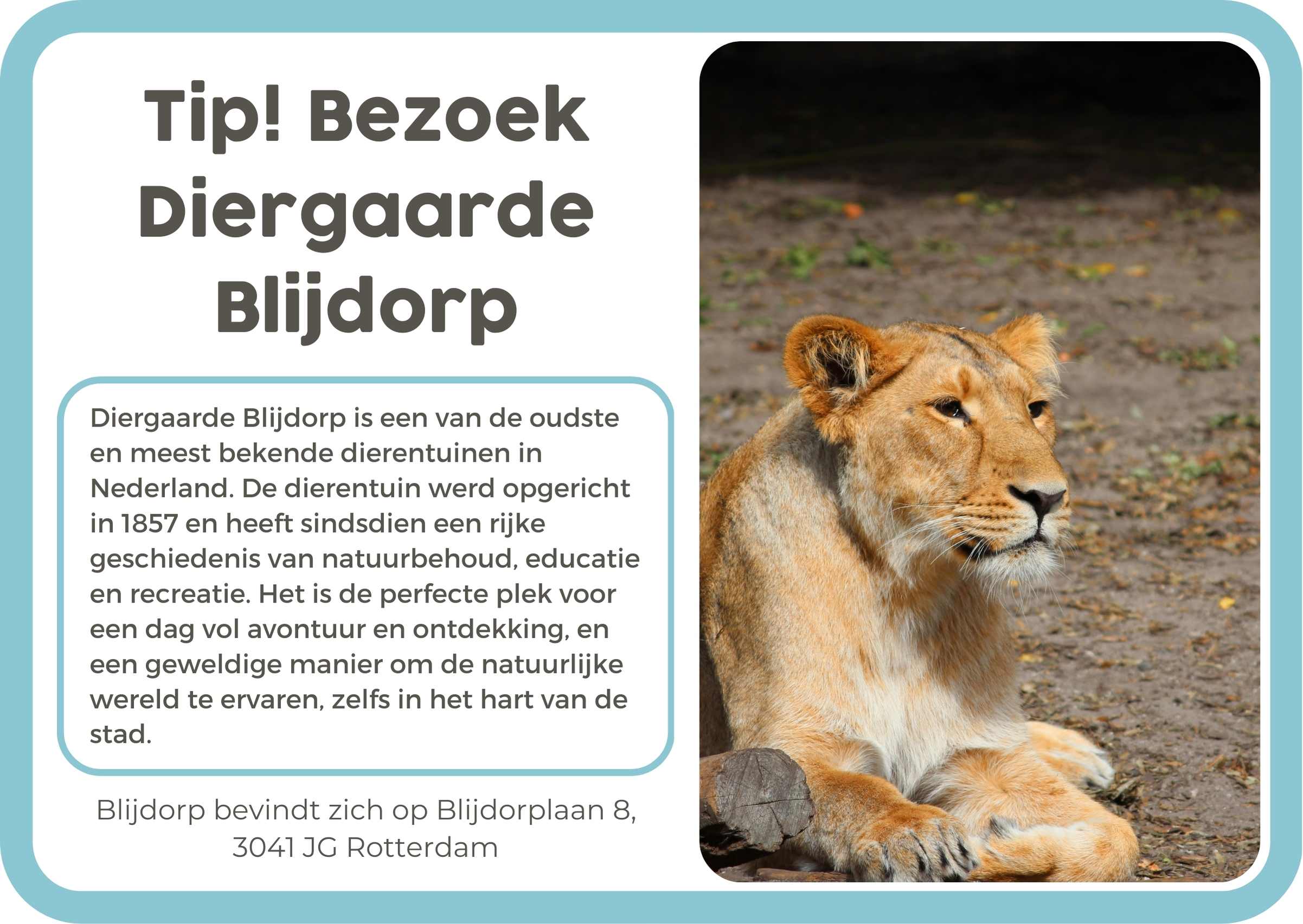 11. Rotterdam Zoo Blijdorp