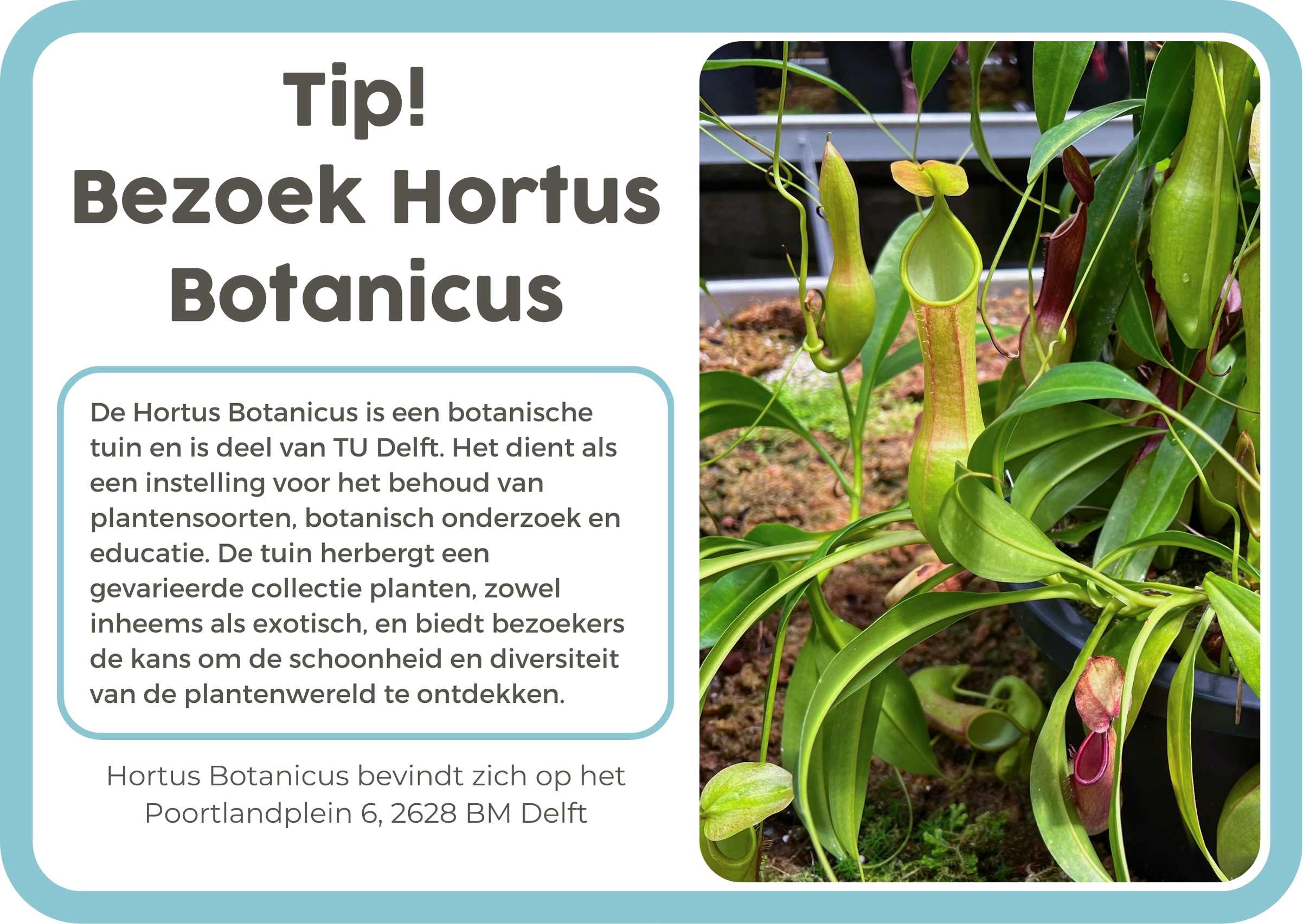 6. NL Hortus Botanicus