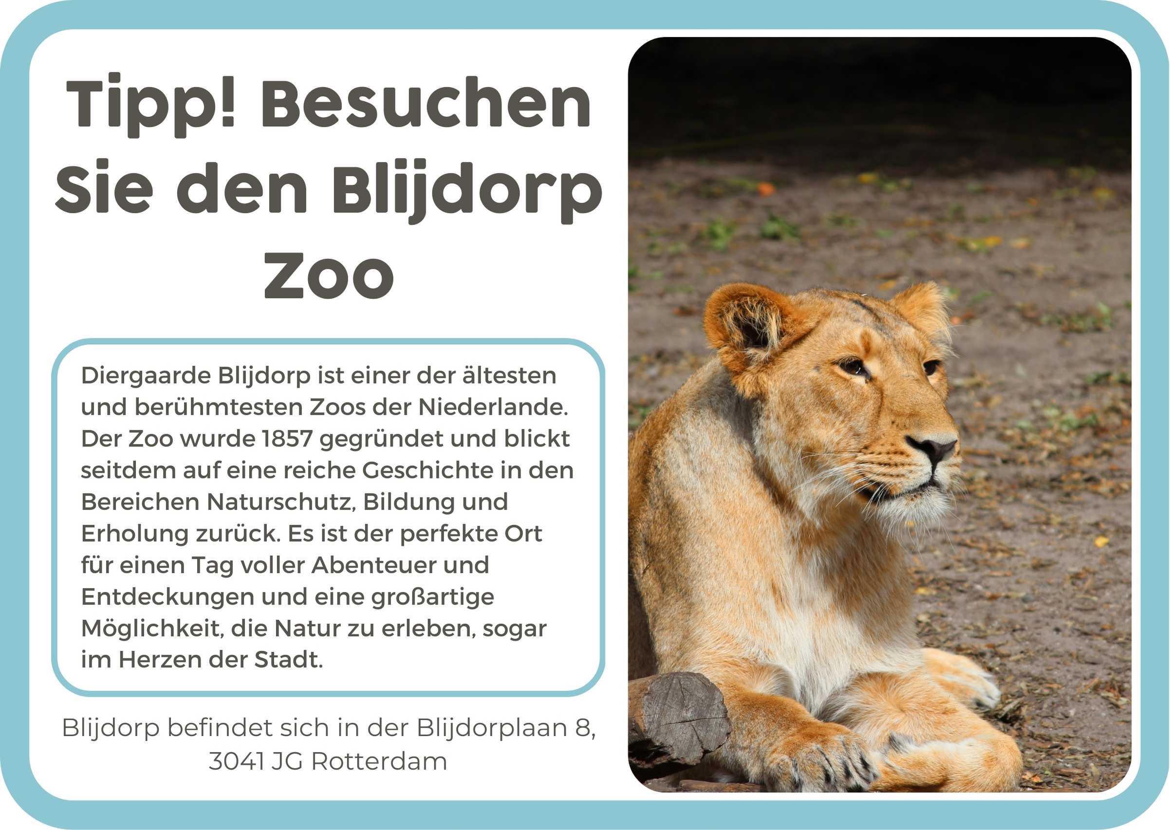 (Duits) 11. Rotterdam Zoo Blijdorp