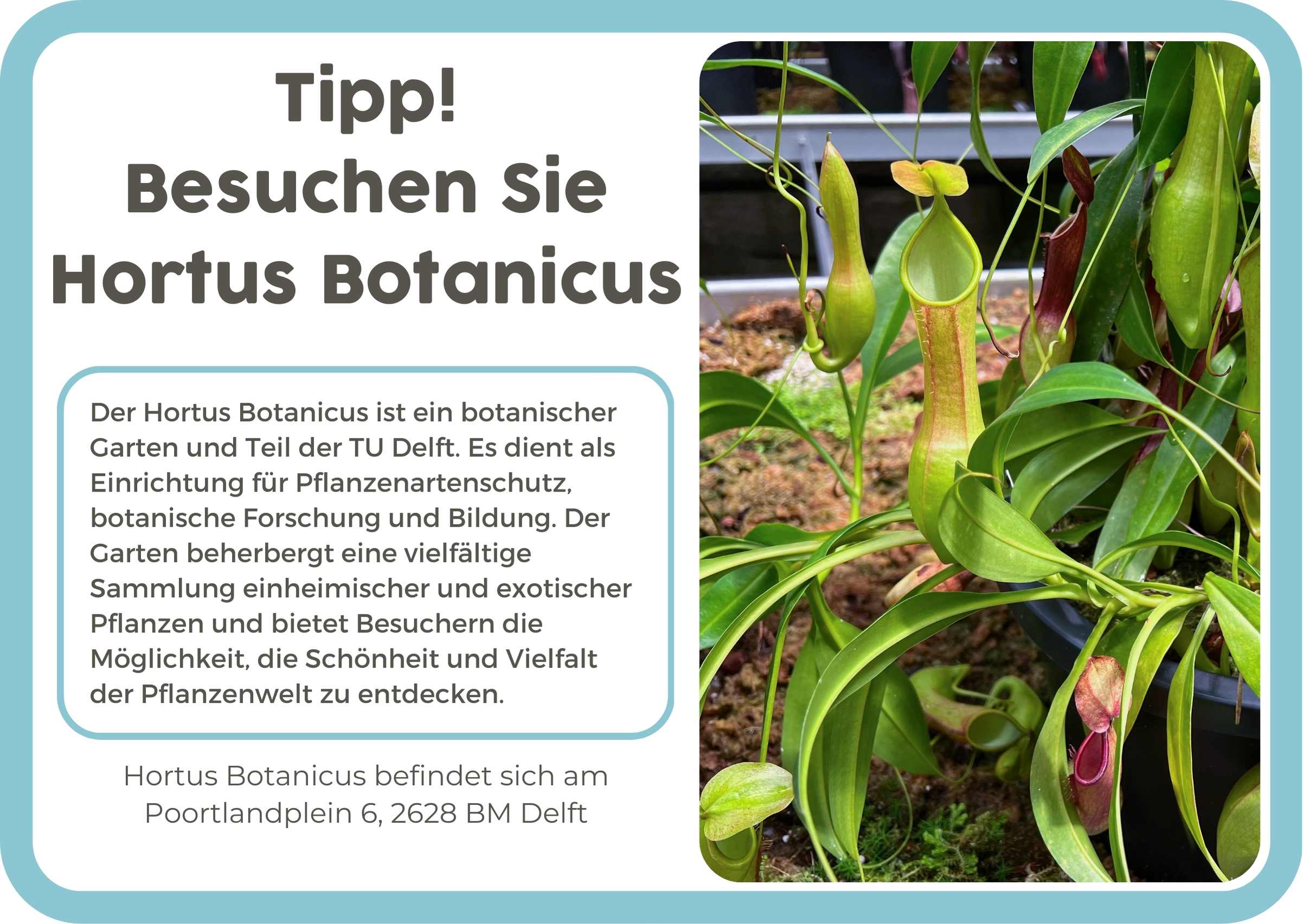 (Duits) 6. Hortus Botanicus