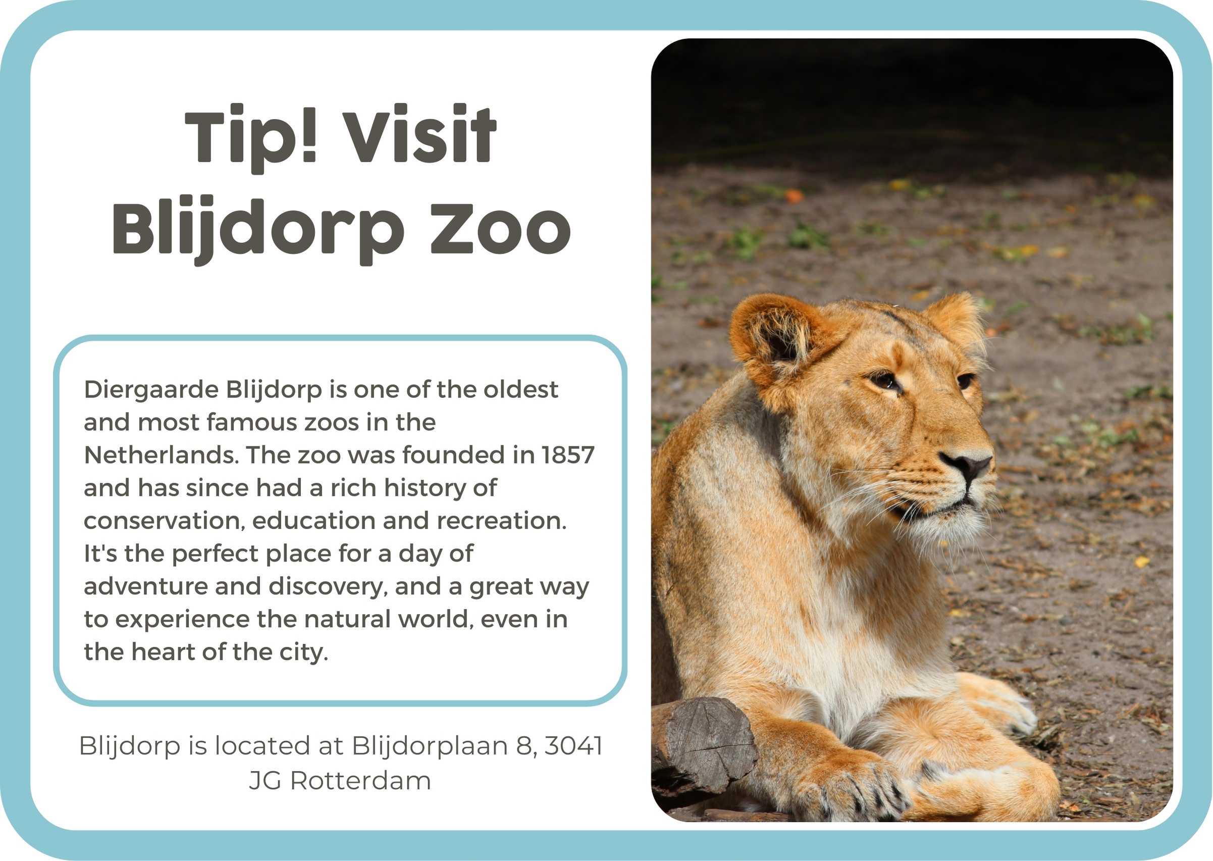 (Engels) 11. Rotterdam Zoo Blijdorp