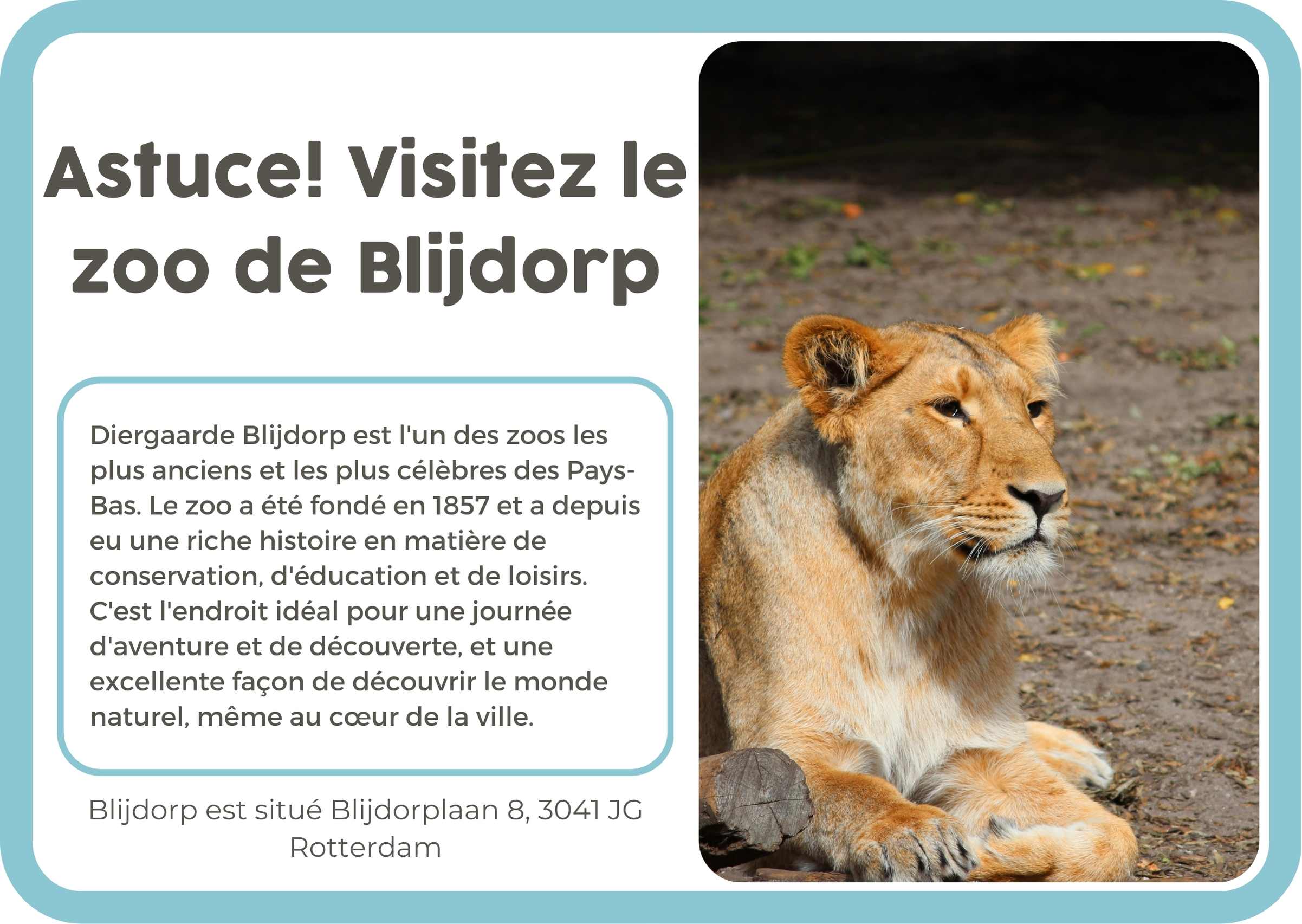 (Frans) 11. Rotterdam Zoo Blijdorp