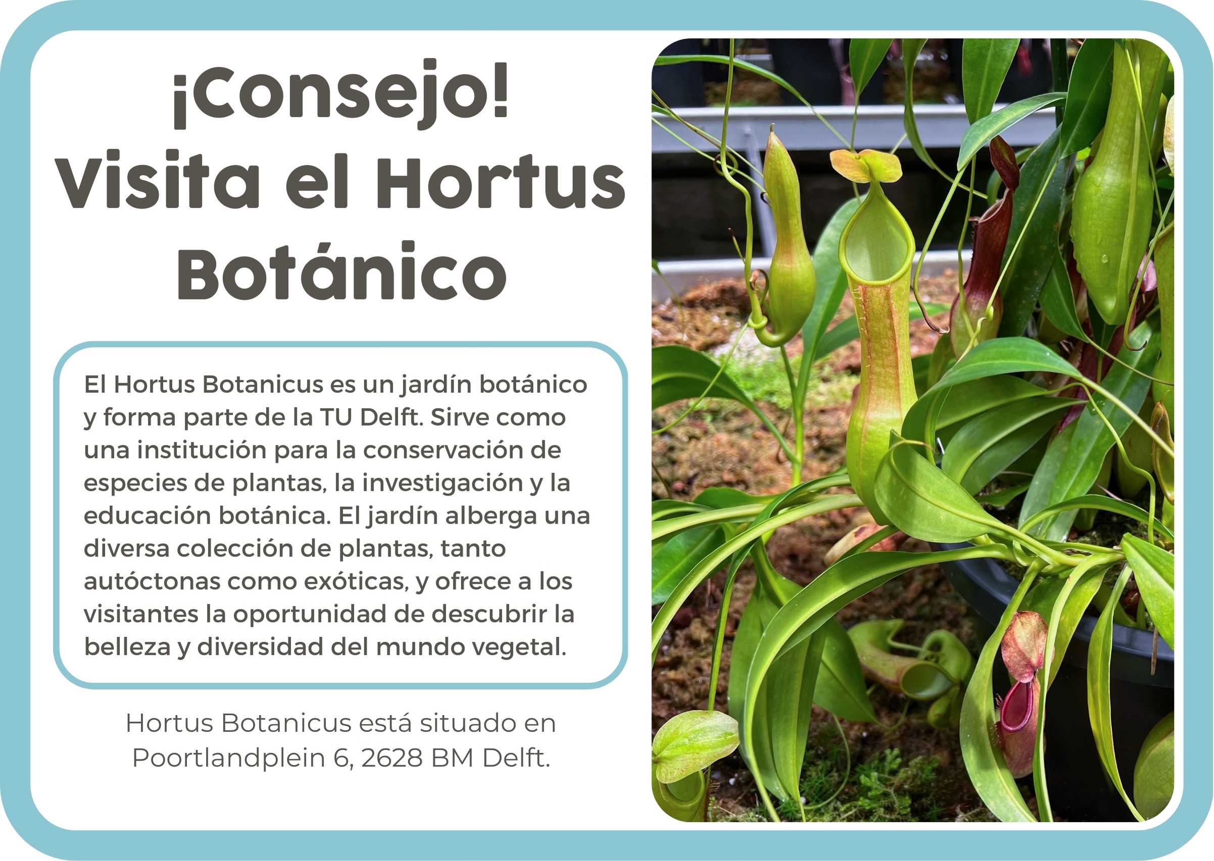 (Spaans) 6. NL Hortus Botanicus
