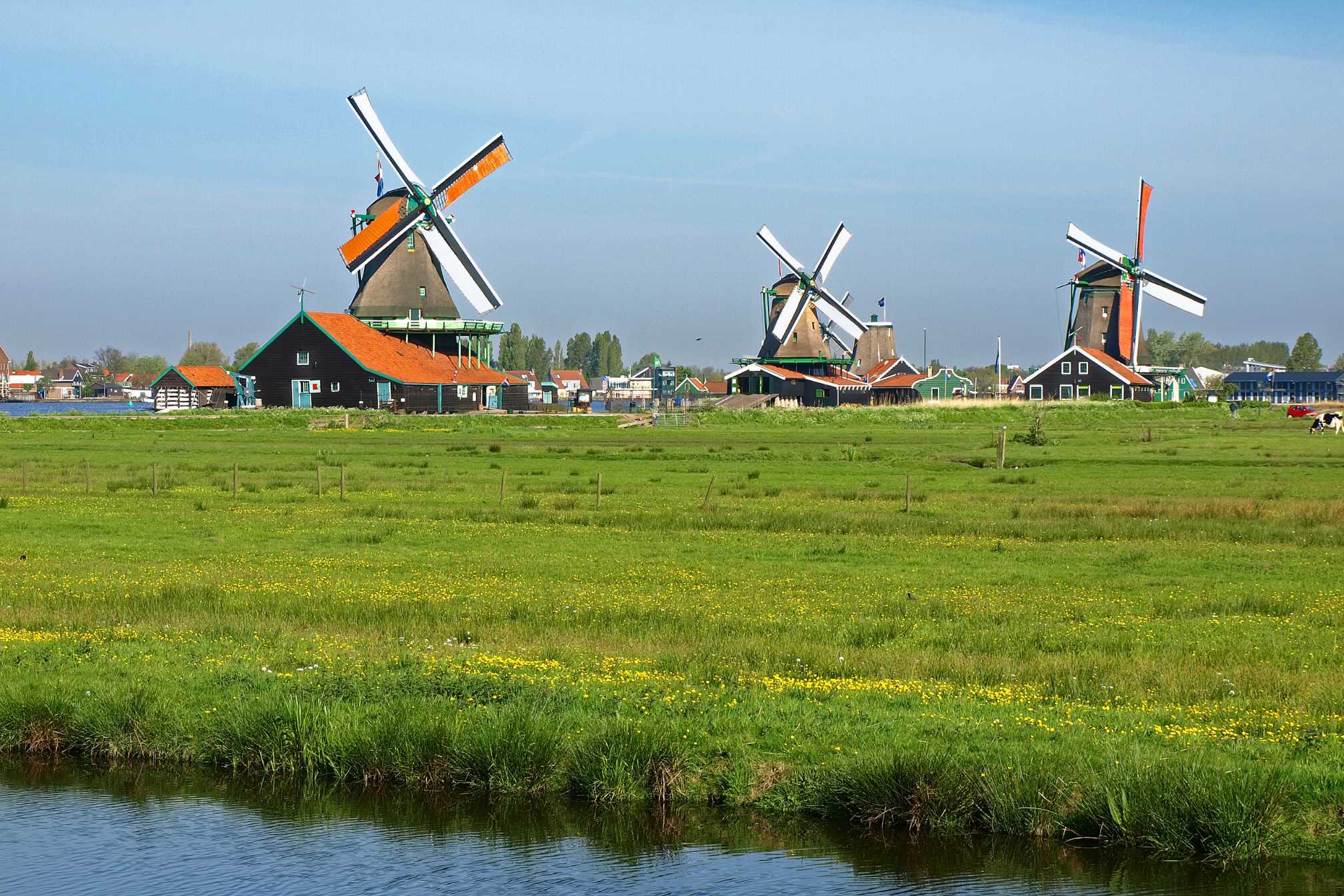 Zaanse Schans windmills mills discover tour Zaans cheese