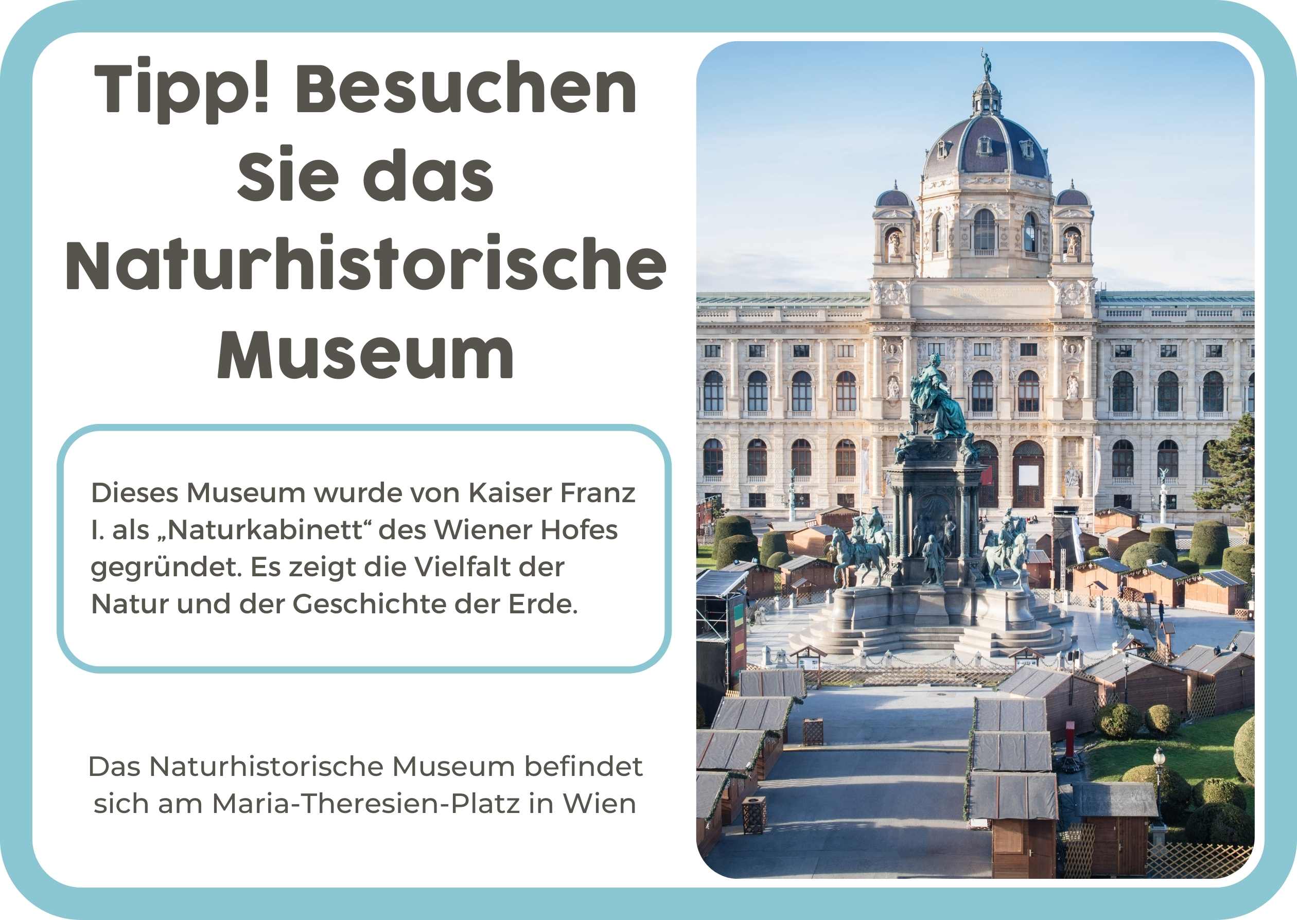 (Duits) 4. Natuurhistorisch museum